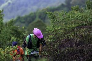 BIB: 968
                            <button type="button" onclick="openModal(24763905)" class="btn btn-primary btn-sm float-right btn-popup" data-toggle="modal" data-target=".modal-high-quality">
                        <i class="fas fa-shopping-cart"></i> Add to Cart
                    </button>
                                            <button type="button" onclick="isThisMe(24763905, true)" class="btn btn-success btn-sm float-right btn-popup btn-isme hidden" data-toggle="tooltip" data-placement="bottom" title="นี่คือรูปของคุณใช่ไหม คลิกที่นี่เพื่อเอาเข้าอัลบั้ม">
                        <i class="fas fa-plus"></i> Add to album
                    </button>
                    <button type="button" onclick="isThisMe(24763905, false)" class="btn btn-warning btn-sm float-right btn-popup btn-isnotme hidden">
                        <i class="fas fa-ban"></i> Remove from album
                    </button>